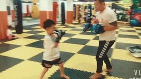 成人搏击直播教学视频,揭秘成人搏击技巧与实战策略